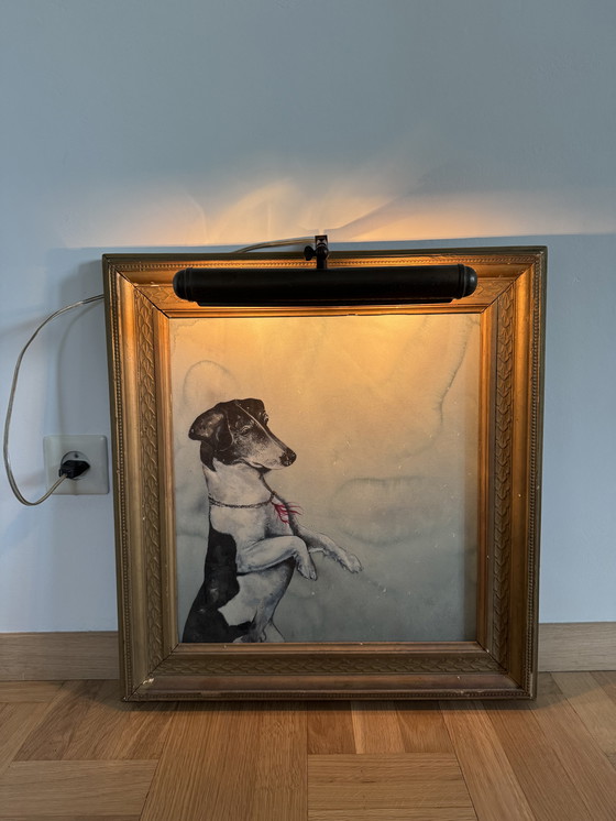 Image 1 of Gráficos Bruno Bruni