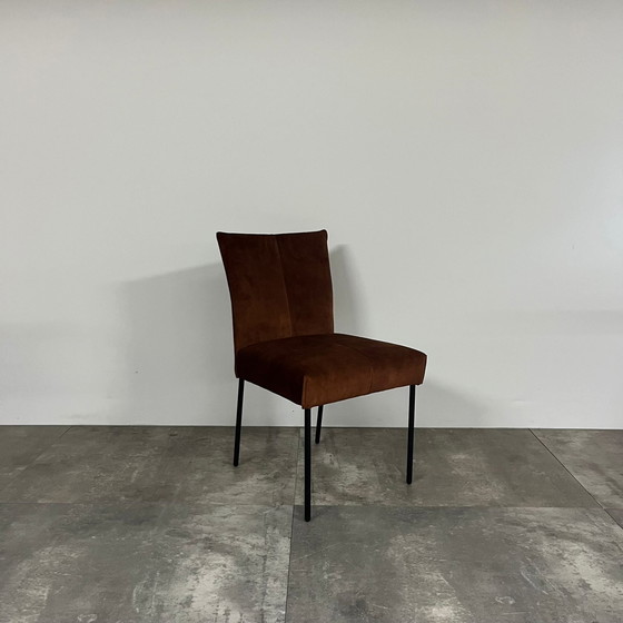 Image 1 of Bliss Set of 6