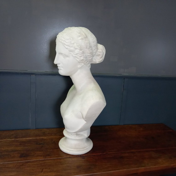 Image 1 of Busto excepcionalmente grande de tamaño natural de la Venus de Milo, busto grande de yeso