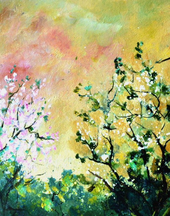 Image 1 of Orchard in spring