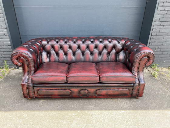 Sofá de 3+1+1 plazas color rojo burdeos – Chesterfield, Leather, Wood (photo 4 of 7)