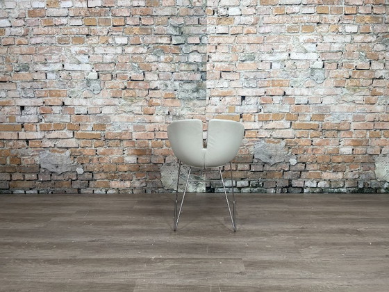 Image 1 of 6x Moroso Fjord