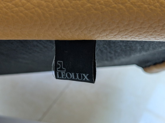 Image 1 of Especial Leolux wibber