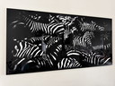 Estampe Laurent Baheux sur aluminium
