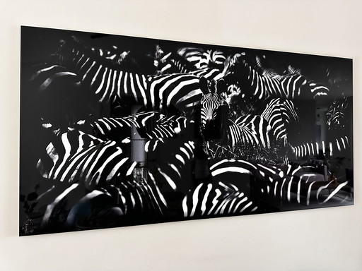 Estampe Laurent Baheux sur aluminium