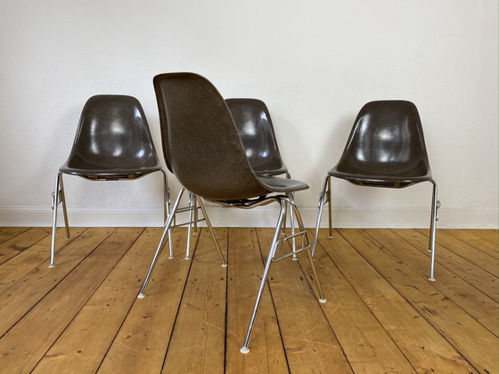 Image 1 of 4X Herman Miller Vitra Dss Chaises En Fibre De Verre De Charles & Ray Eames En Seal Brown