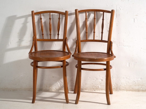 Sedie antiche in legno curvato stile Thonet – Ungheria, circa 1960 #8 – Sedie da pranzo (photo 39 of 40)