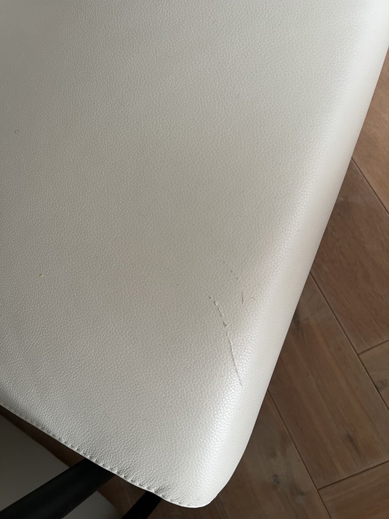 2x Leolux Poltrone – Leather, Metal (photo 5 of 5)
