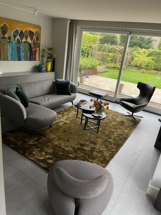 Image 1 of Selce Leolux. Grigio/marrone