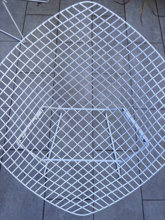 Image 1 of Bertoia Diamond Knoll vintage white armchairs - iconic design