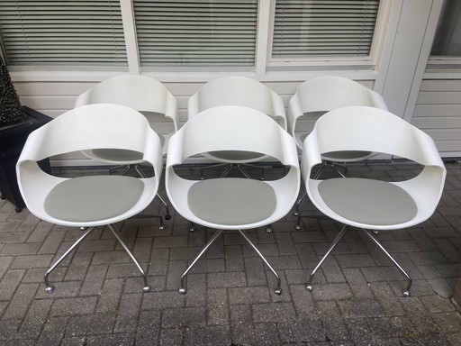 Sei sedie ambrace Vepa