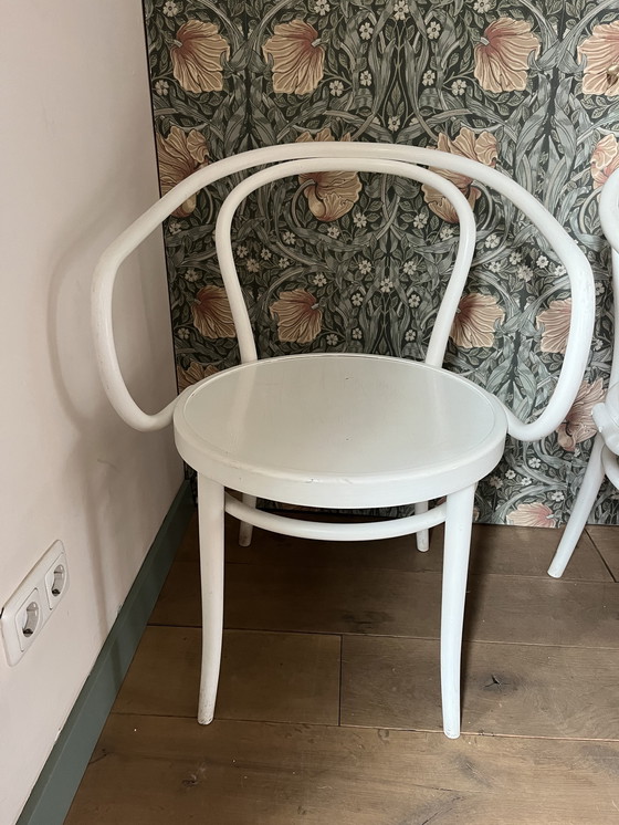 Image 1 of 2 Vintage Thonet stoelen – Model No. 204/ Vienna – Wit