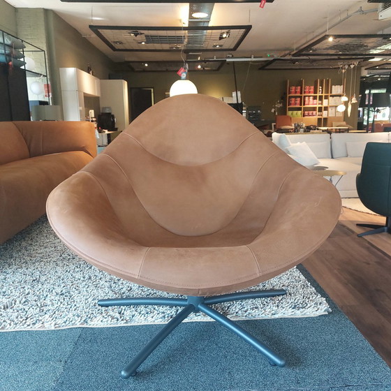 Image 1 of Label Hide Sessel