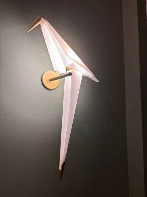 Perch light original - a estrenar