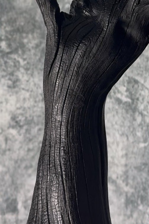 Lady Venom sculptuur kandelaar van Rotan Hunt – Kandelaars en kaarsen, Wood (photo 5 of 15)