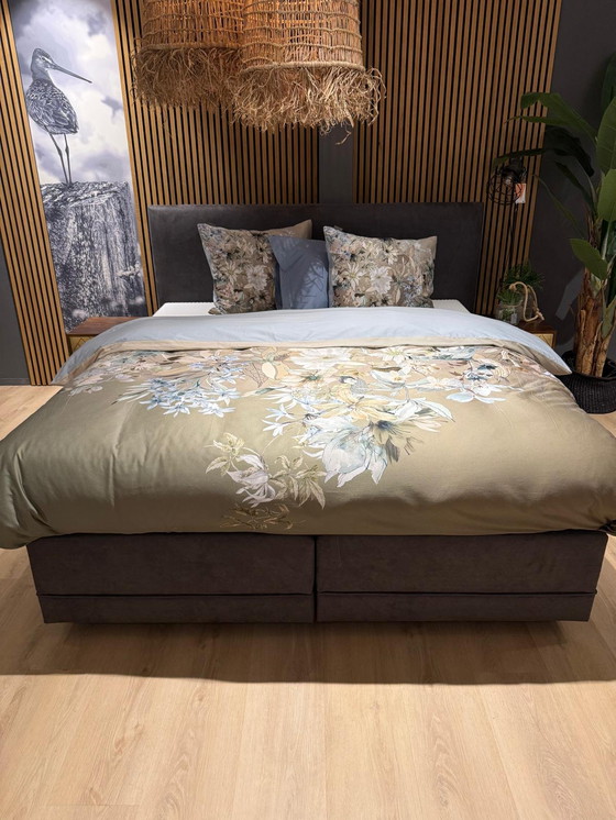 Image 1 of Molla Avek Noflik - 180x210