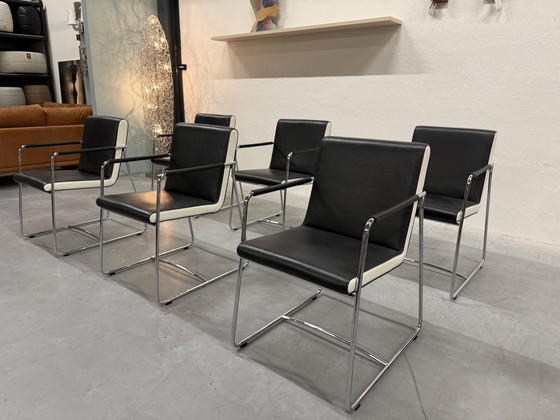 Image 1 of 6 sedie da pranzo Leolux Orchid in pelle grigia e nera