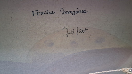 Fructus imaginae fruit of the imagination