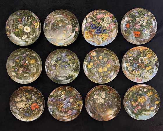Image 1 of 🌸 “Wild Beauty” | Fürstenberg collector plates | Limited Edition | Complete and rare series | New