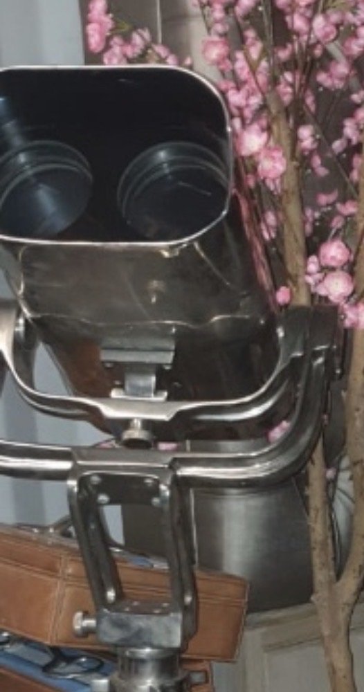 Image 1 of Eichholtz-Fernglas