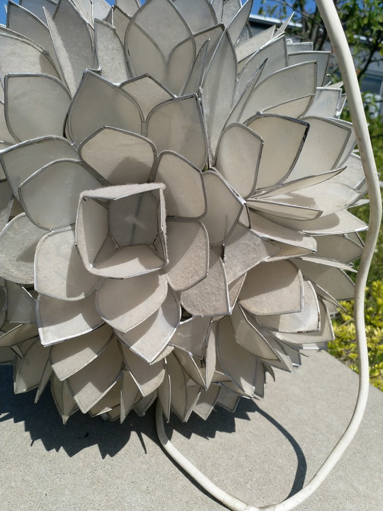 Image 1 of Rausch - Mother of Pearl - 1960