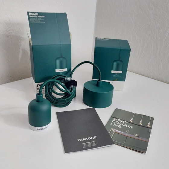 Pantone verde - 2 nuevas Lámparas colgantes - DENEB Cap-hanger, rvs, Textil (foto 3 de 5)