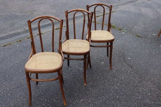 Image 1 of Sedie da bistrot serie x6 n. 56 di Thonet