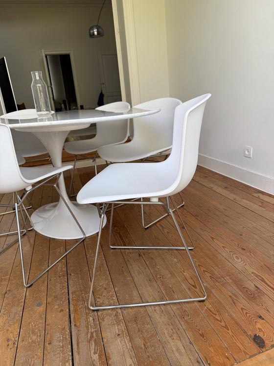 Image 1 of 6 Sillas laterales Knoll Bertoia con estructura moldeada