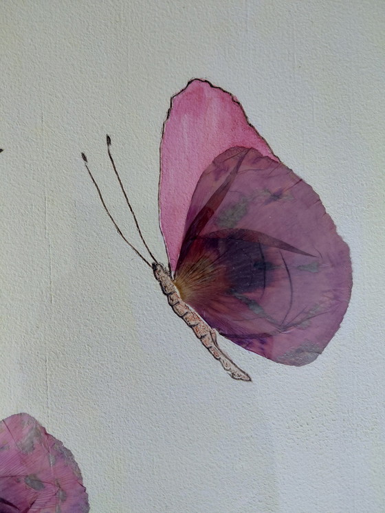 Image 1 of “Butterflies in the Air” Gallery Suncorner