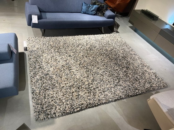 Image 1 of de Munk Carpets Rinaldo rug - 200x250