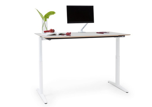 Ahrend Home Desk - Height Adjustable - Legs: Black - Top: Oak - Size: 120x80
