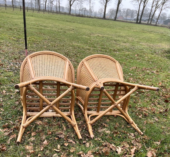 Image 1 of Due sedili avvolgenti in fettuccia e bambù