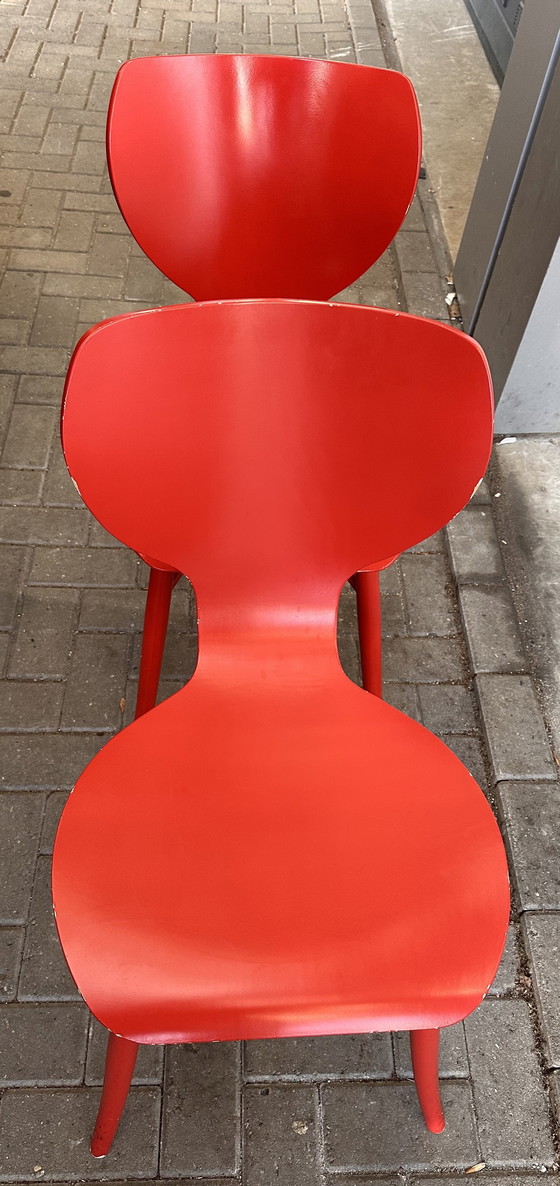 Image 1 of 4x Linteloo Tulipani design dining chairs