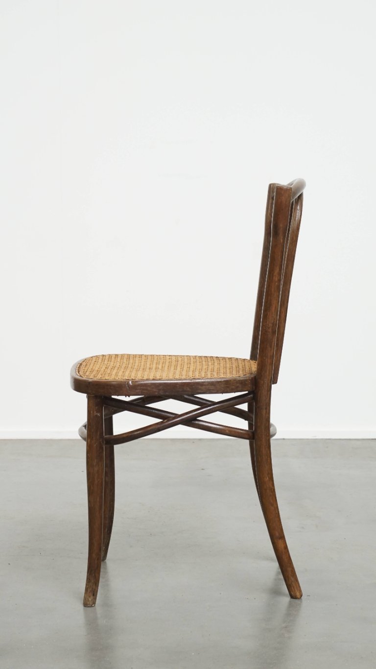 THONET bistro チェア stoop | Bistro Clear Beech THONET Chairs
