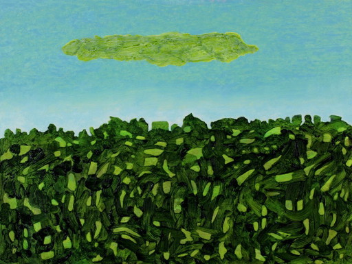 Landschaft (12)