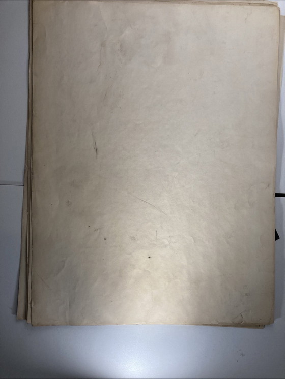 Image 1 of 20 auténticos diseños de carpintería Art Nouveau