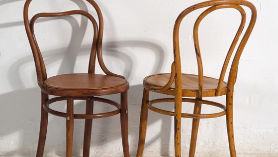 Sedie Thonet antiche (anni '20). Set di 2 pezzi #6 – Sedie da pranzo (photo 3 of 40)