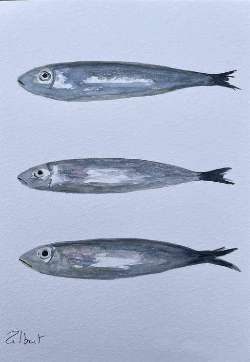 Watercolor on paper, 21x15cm. "Sardines"
