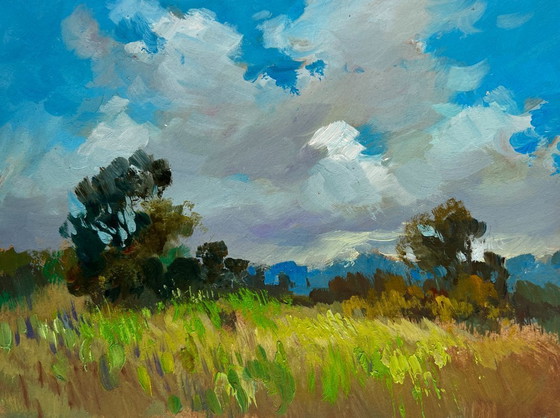 Image 1 of Original Oil Painting Summer Field Landscape Summer meadow glade