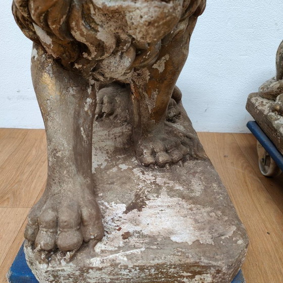Image 1 of Set di 2 grandi statue da giardino raffiguranti un leone, ornamento da giardino in cemento.