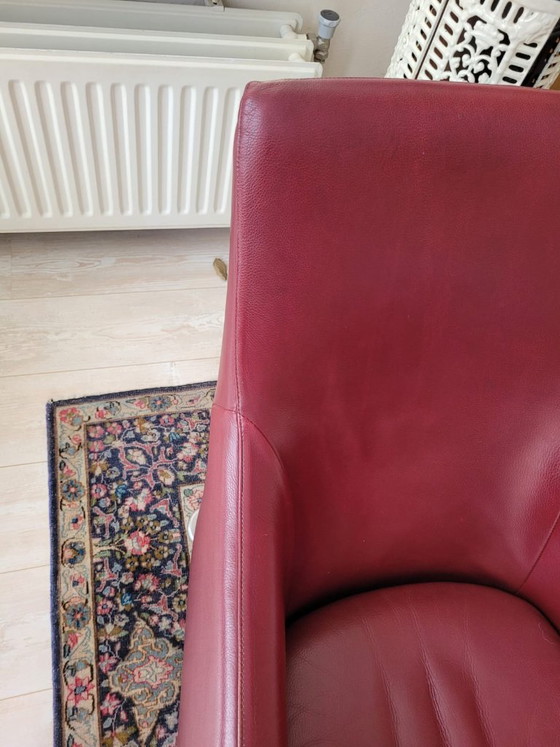 Montis Loge Poltrona – Pelle Rosso Bordeaux – Gerard Van Den Berg – Poltrone, Leather, Metal (photo 9 of 13)