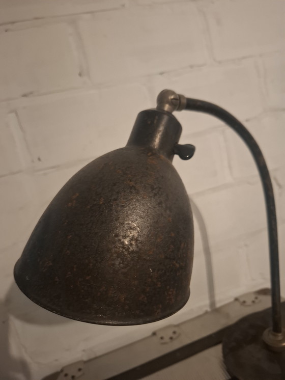 Image 1 of  Christian Dell Polo popular 2608