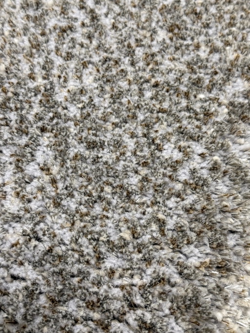 Leolux Amund Seal Rug 240x340