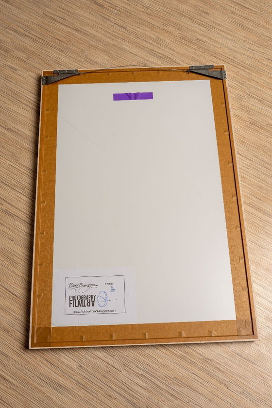 Image 1 of Virginia Landscape 2022