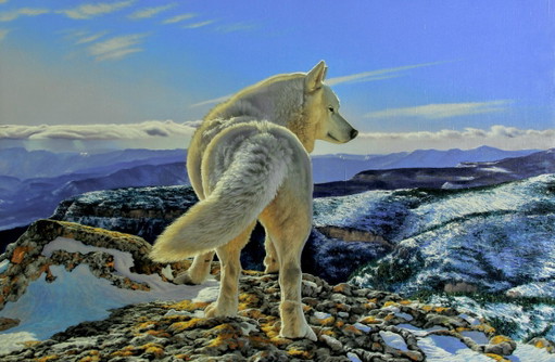 Original Oil Painting Animal Northern Wolf Breath of the Mountains – schilderijen tekeningen, Canvas