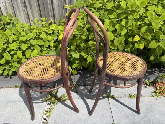 Image 1 of 2 vintage Thonet chairs with webbing seats