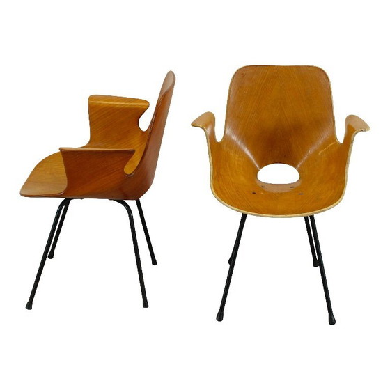 Image 1 of sedia con braccioli in legno curvato di faggio "medea" di vittorio nobili per fratelli tagliabue, italia, 1956
