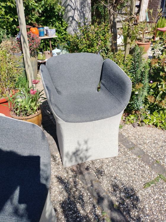 Image 1 of 2x Moroso Bloomy