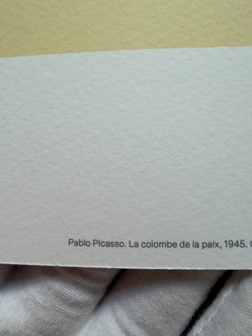 Pablo Picasso (1881-1973), La Colombe De La Paix, 1945, Copyright Picasso 2023, impreso en el Reino Unido
