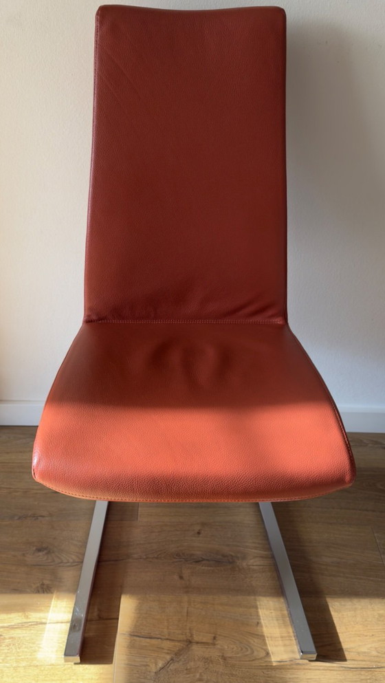 Image 1 of 6 chaises Rolf Benz rouges